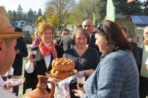 IMG 4386 (1)